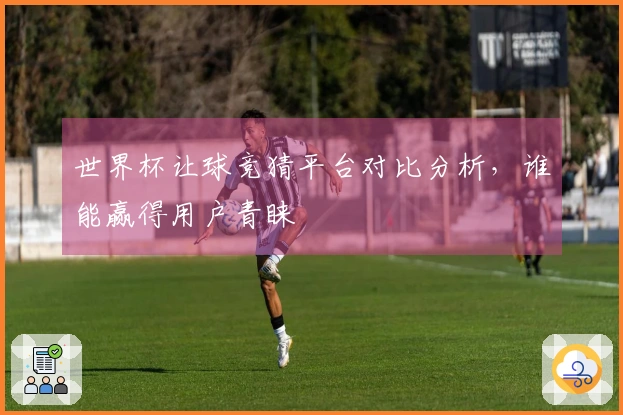 世界杯让球竞猜平台对比分析，谁能赢得用户青睐
