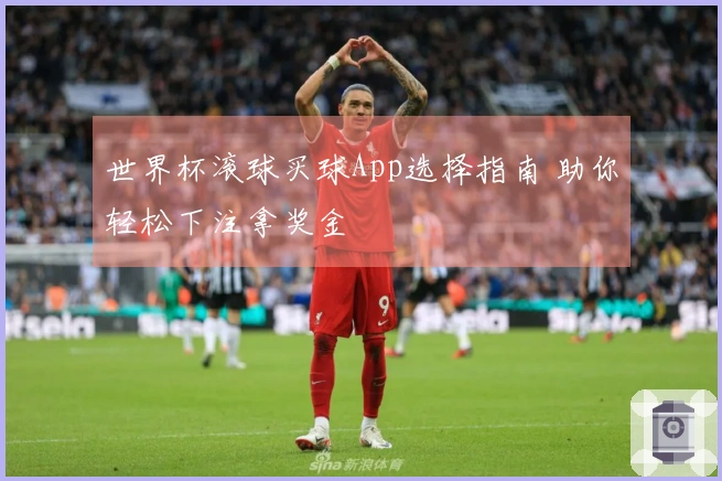 世界杯滚球买球App选择指南 助你轻松下注拿奖金