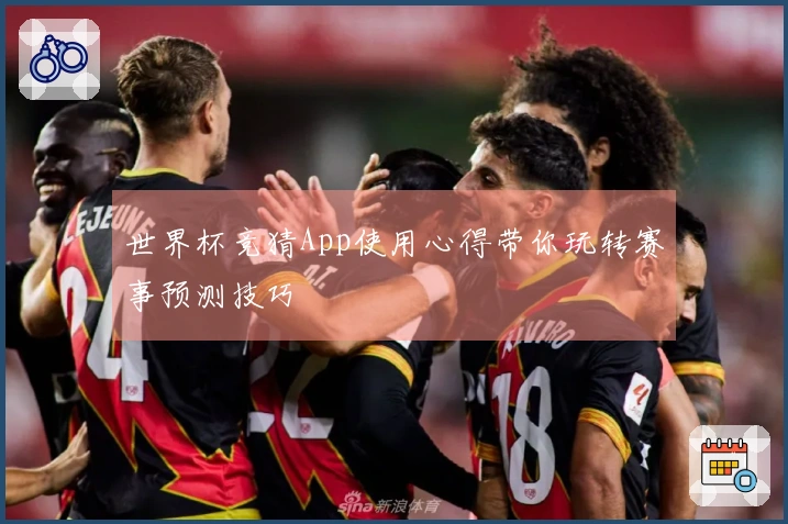 世界杯竞猜App使用心得带你玩转赛事预测技巧