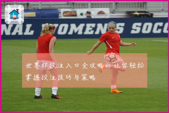 世界杯投注入口全攻略，让你轻松掌握投注技巧与策略