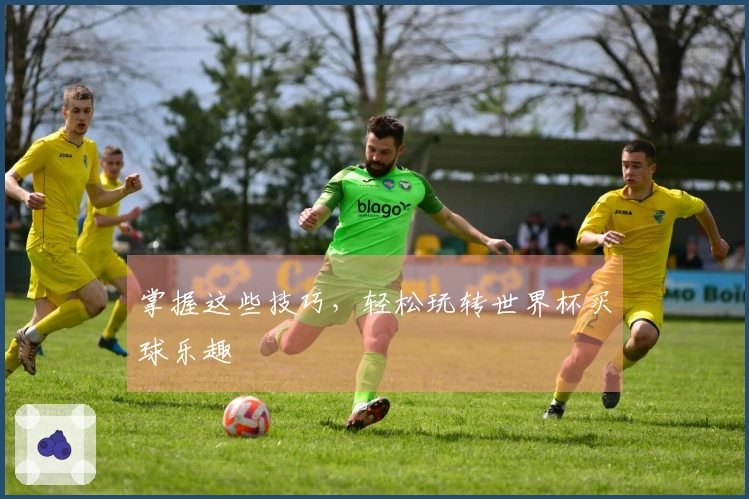 掌握这些技巧，轻松玩转世界杯买球乐趣