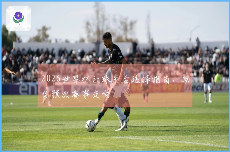 2026世界杯让球平台选择指南，助你预测赛事走向