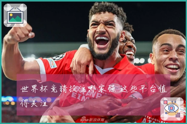 世界杯竞猜投注哪家强 这些平台值得关注