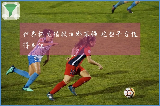 世界杯竞猜投注哪家强 这些平台值得关注