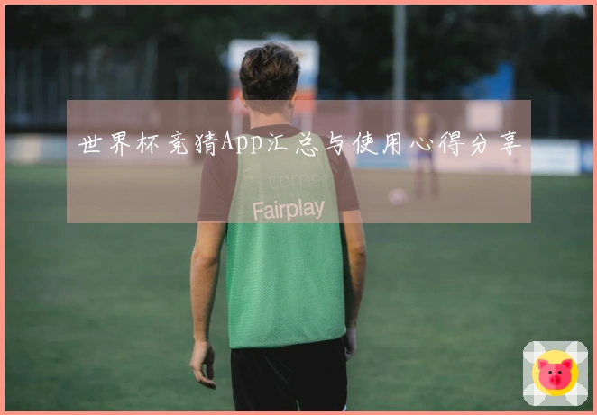 世界杯竞猜App汇总与使用心得分享