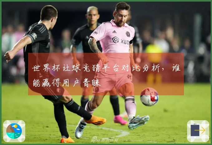 世界杯让球竞猜平台对比分析，谁能赢得用户青睐