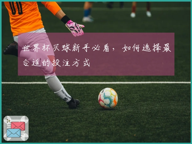 世界杯买球新手必看，如何选择最合适的投注方式