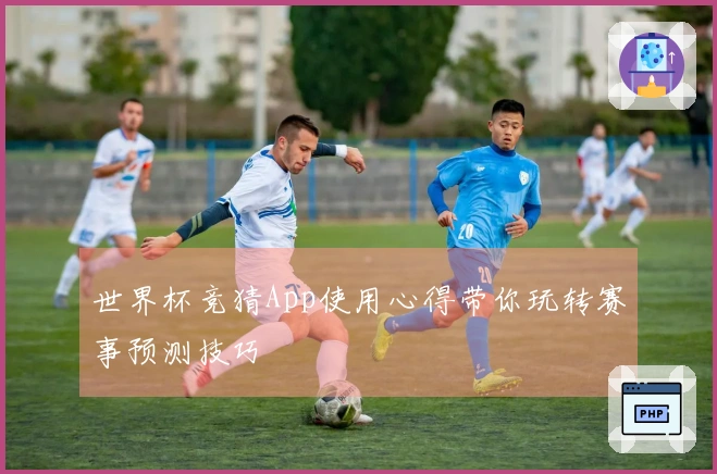 世界杯竞猜App使用心得带你玩转赛事预测技巧